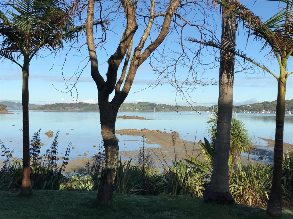 uma vista para uma massa de água entre árvores em Tui's Song Bach on the Bay em Whangarei