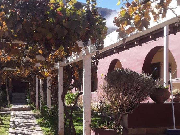 a pink building with trees in front of it at El Convento de Tilcara in Tilcara