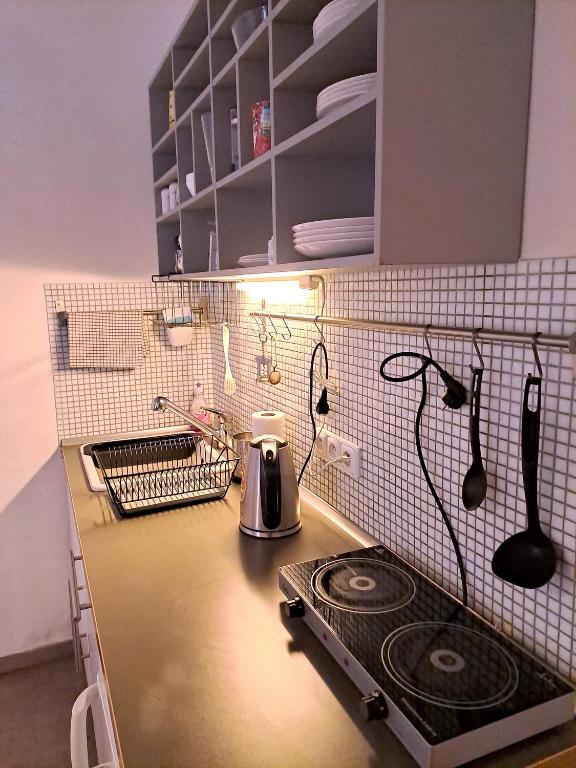 Kuchnia lub aneks kuchenny w obiekcie Magnificent apartment in the center of Prague