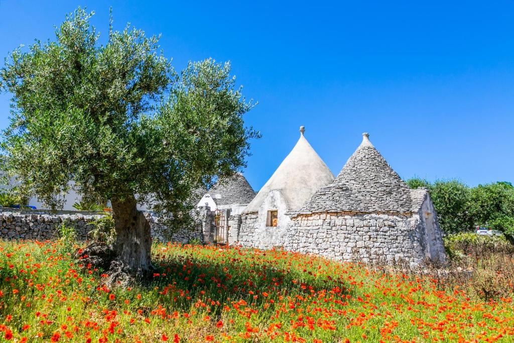 A garden outside DOMUS OTIUM OSTUNI - Tiny House