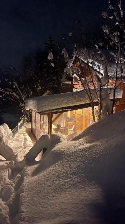 Chalet Alpin suisse v zimě
