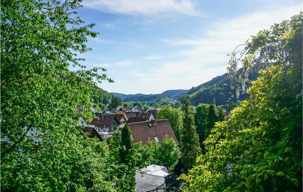 Příroda nedaleko apartmánu