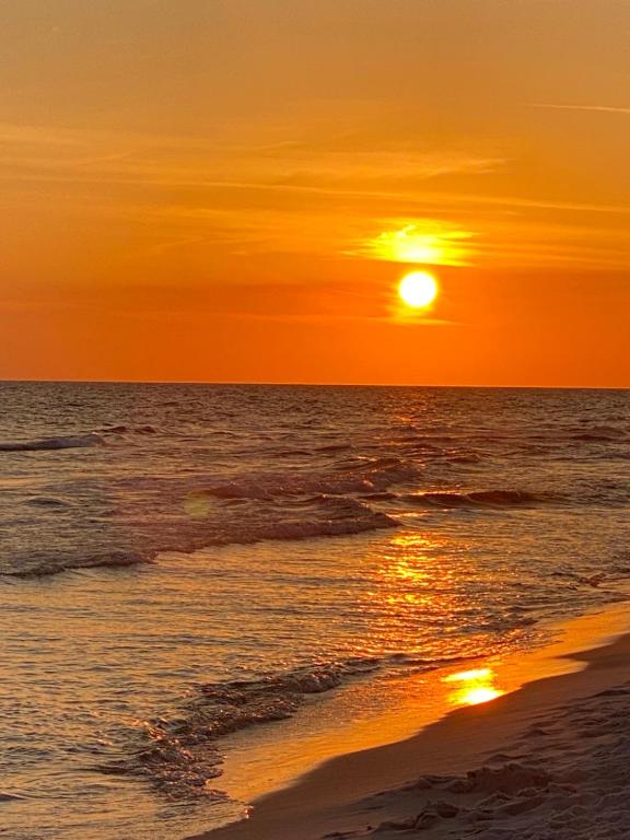 LUXURY ROSE COTTAGE ,ABOITEAU BEACH,CAP PELE, CapPele Updated 2023