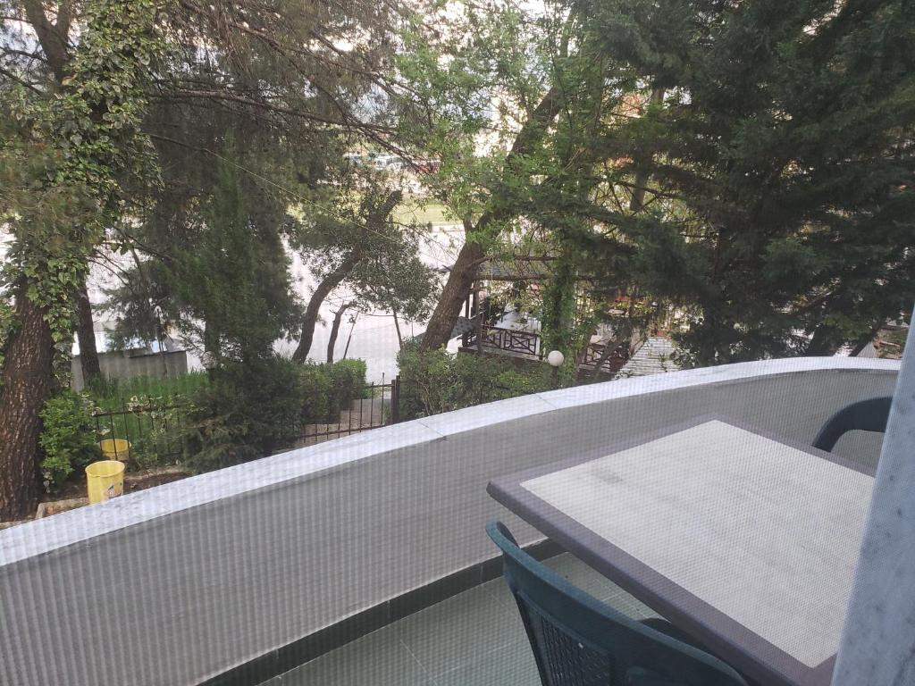 Příroda nedaleko hotelu