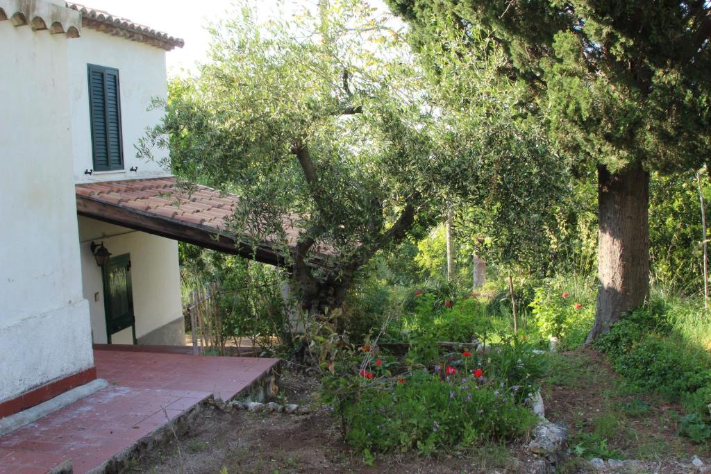 Ogród w obiekcie Tenuta Conte Ruggero