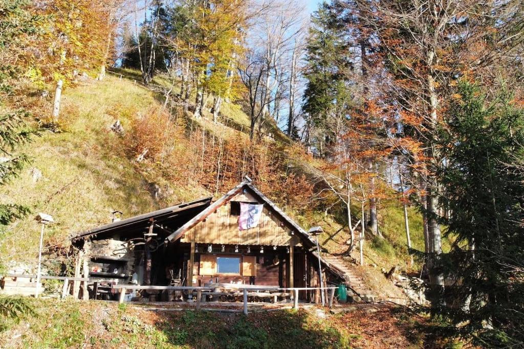une cabane en rondins sur une colline dans les bois dans l'établissement A Cottage in the Alps for hiking, cycling, skiing, à Jesenice