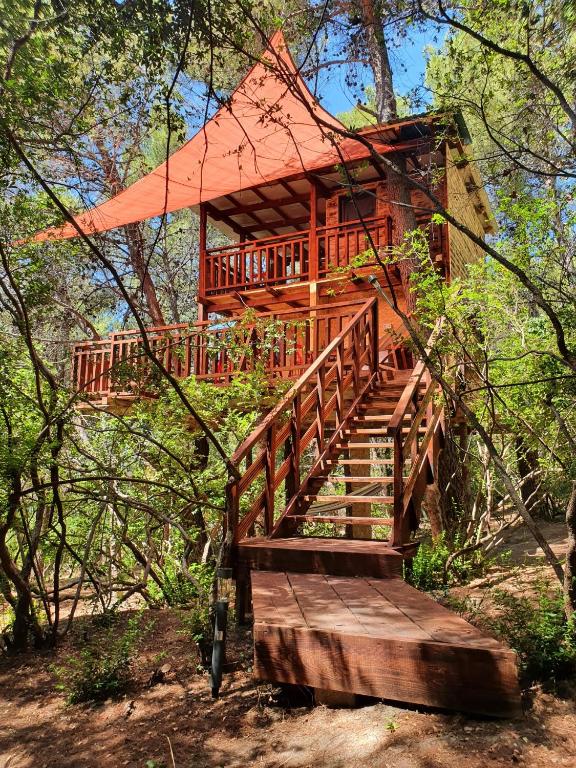 a tree house in the middle of the woods at TreeHouses Ljubač Glamping Robinson in Ljubač