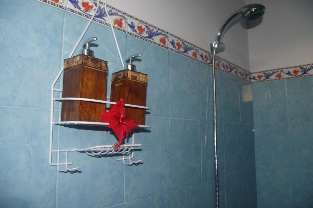 Koupelna v ubytování Ramaniya House