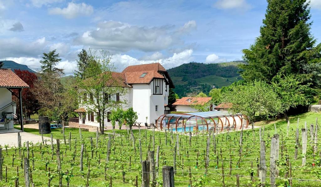 uma vinha com uma casa e um monte de vinhas em Villa Harriet em Uhart-Cize