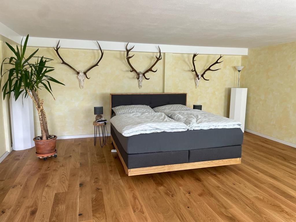 a bedroom with a bed with antlers on the wall at Jagdzimmer in Thalheim