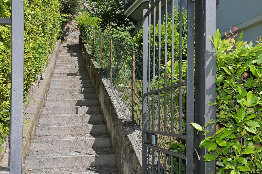 Vonkajšia záhrada v ubytovaní Villa Raoul