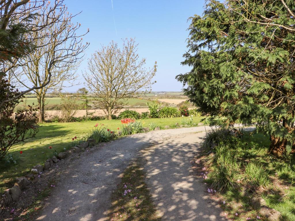 a dirt road in a field with trees and grass at Wheatfield Lodge in Fethard on Sea