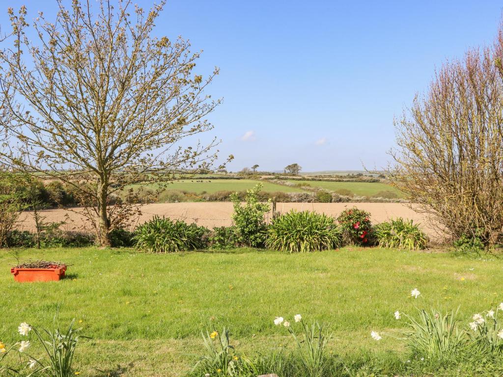 a field of grass with two trees and flowers at Wheatfield Lodge in Fethard on Sea