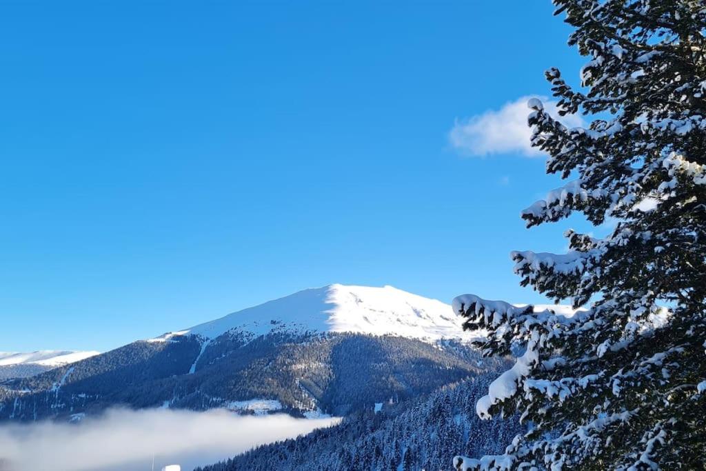 Idyllische Zirbenholz Alpin Huette iarna