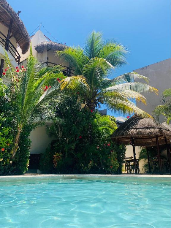 Tua Tulum Apartments spaziosi e confortevoli - Wohnung