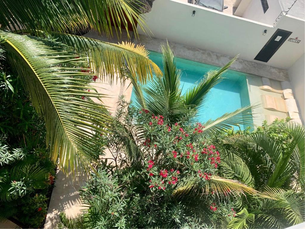 Tua Tulum Apartments spaziosi e confortevoli - Wohnung - Erdgeschoss