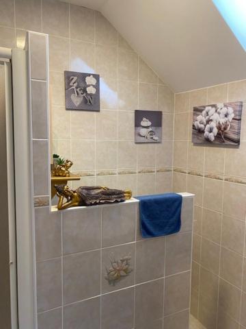 a bathroom with a shower with pictures on the wall at Le Moulin du Modon in Couffy