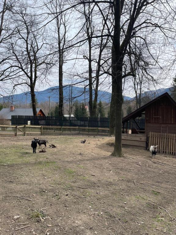 Příroda nedaleko apartmánu