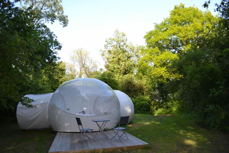 Domaine des Vaulx - Bolla trasparente a La Baconnière