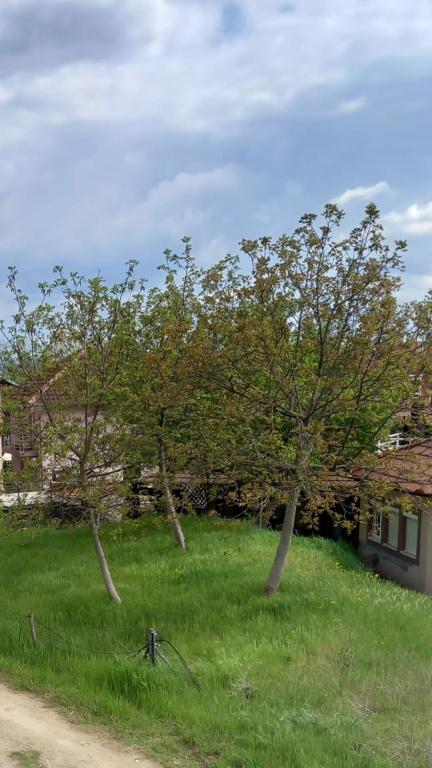 Paesaggio naturale nelle vicinanze dell'affittacamere
