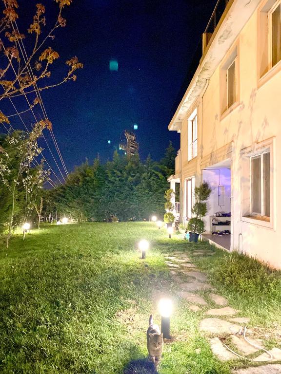 Zahrada ubytování Airport Villa hotel