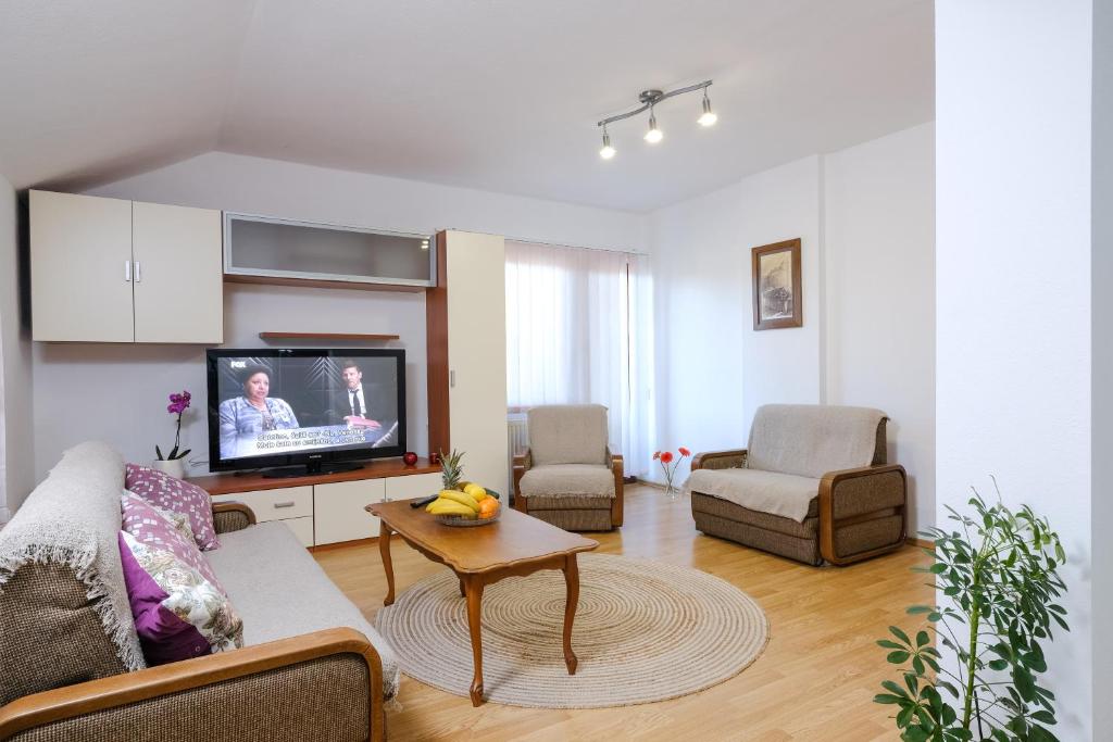 a living room with a couch and a tv at The Cosmic Gate Apartments in Visoko