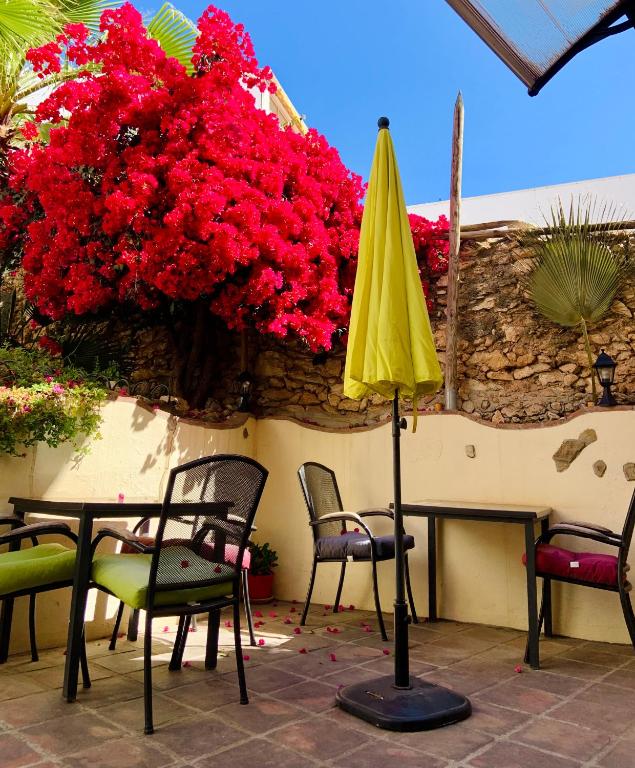 Zahrada ubytování Boutique Hostal Lorca
