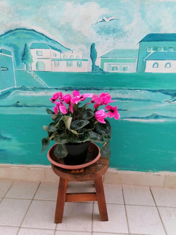 Fotografia z galérie ubytovania B&B Il Giardinetto Alghero v destinácii Alghero