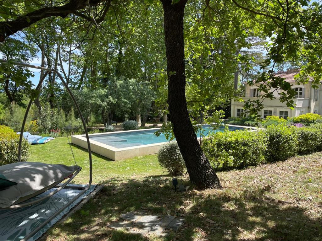 - une piscine dans une cour avec un arbre dans l'établissement Ermitage Notre Dame de Vacquieres, à Noves