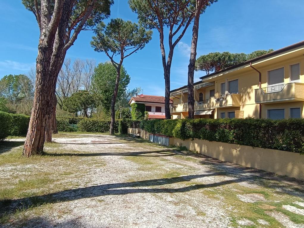 a driveway in front of a building with trees at L'Orchidea_Holiday in Camaiore