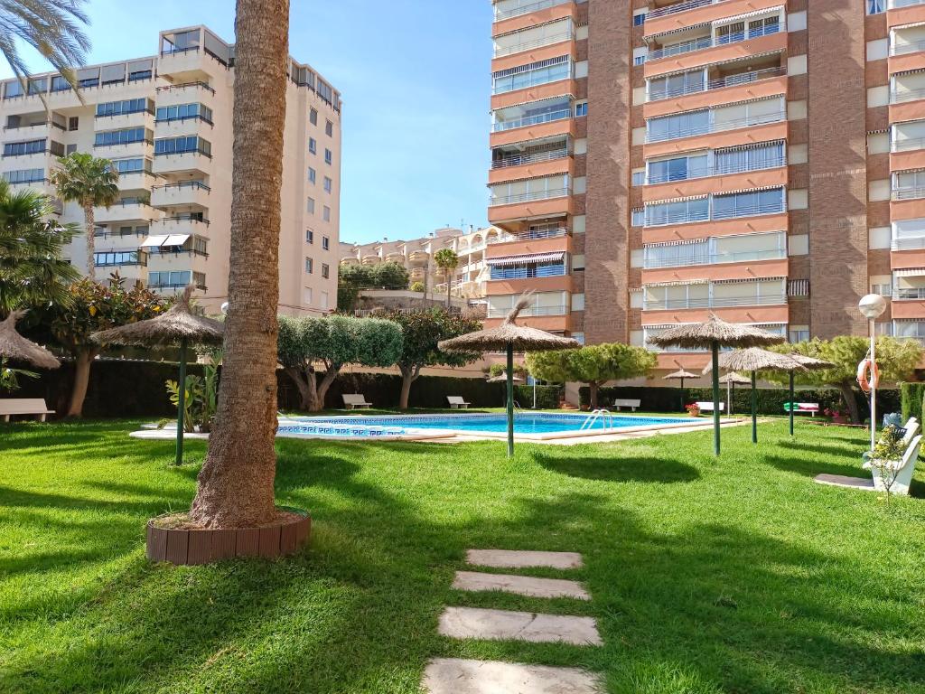 uma palmeira na relva ao lado de uma piscina em Le Panorama Appartement em El Campello
