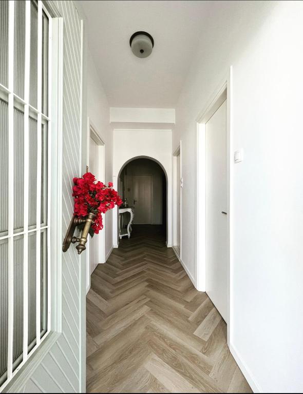 Foto sihtkohas Spetses asuva majutusasutuse Kamelia Hotel galeriist