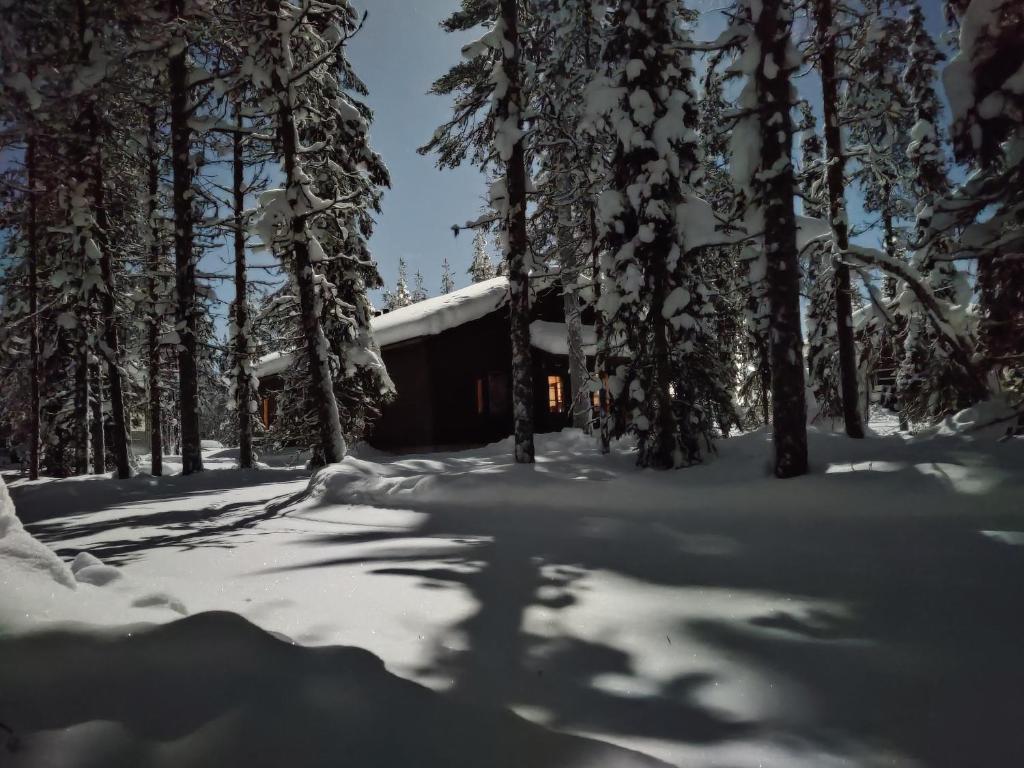 una cabaña en el bosque cubierta de nieve en Lapponia Äkäslompolo, en Äkäslompolo
