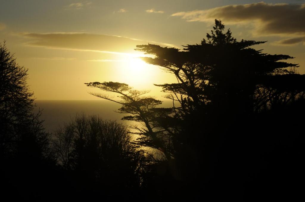 a sunset over the ocean with trees in the foreground at A Delightful Historic Torbay Hidden Gem! in Stokeinteignhead