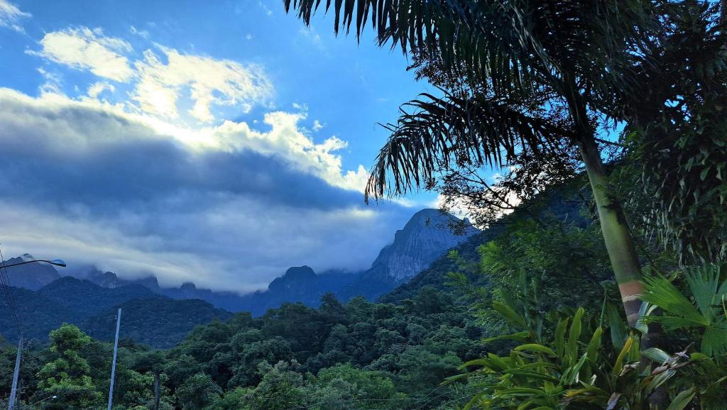 a view of a mountain with a palm tree at Paradisíaco, piscina e churrasqueira em Guapi. in Guapimirim