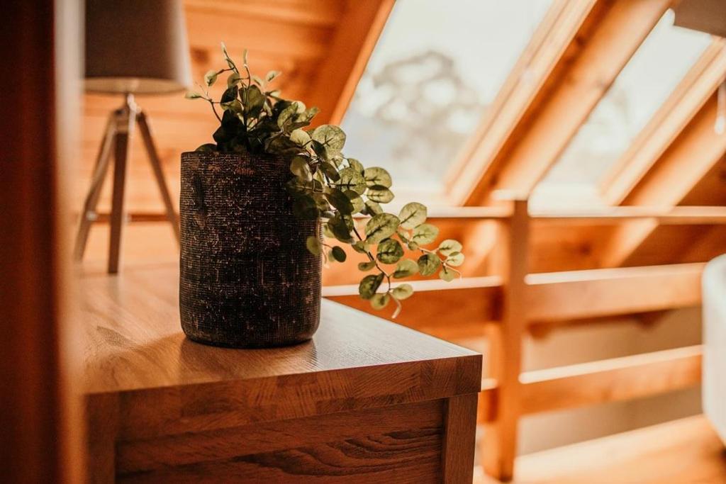 Fotografie z fotogalerie ubytování Otago Cottage v destinaci Hobart