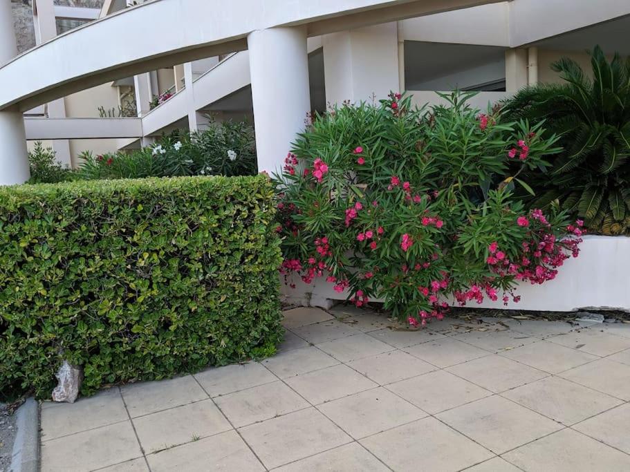 Vonkajšia záhrada v ubytovaní Appartement cosy, superbe vue mer, piscine.