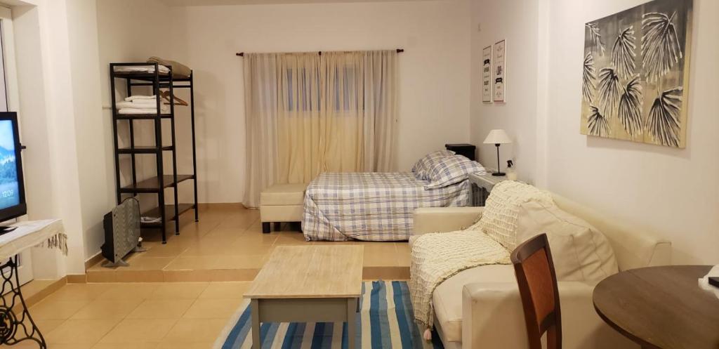 巴拉那的住宿－Monoambiente Urquiza，客厅配有沙发和桌子