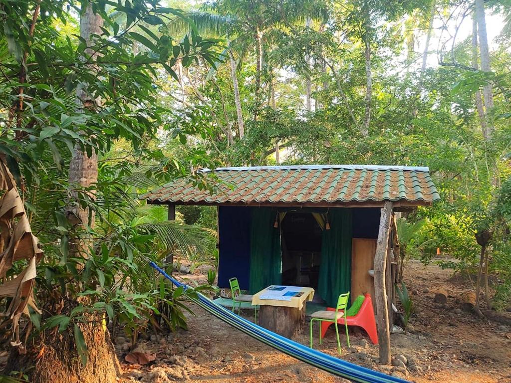 a hammock in front of a small house in the woods at Jungle Tent 3x3, Latino Glamping & Tours, Paquera in Paquera