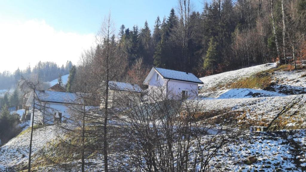 Příroda nedaleko prázdninového domu
