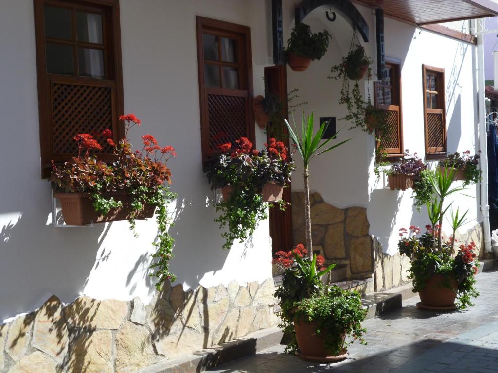 a building with potted plants on the side of it at Frankfurt Hotel in Antalya