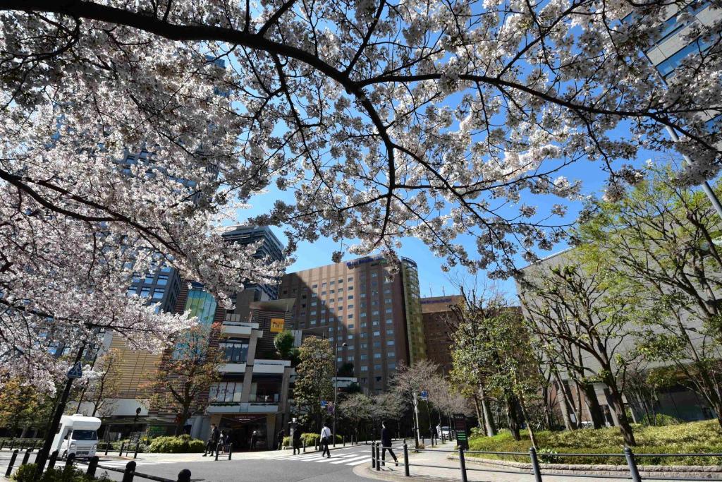 Fotografie z fotogalerie ubytování Hotel Metropolitan Edmont Tokyo v Tokiu