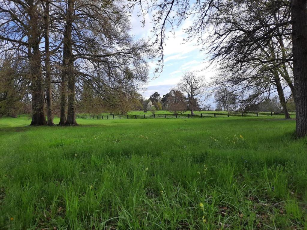 Fotografia z galérie ubytovania Gîte de Charme au Cœur du Parc Naturel, avec Tennis et Proximité Commerces - FR-1-649-24 v destinácii Marines