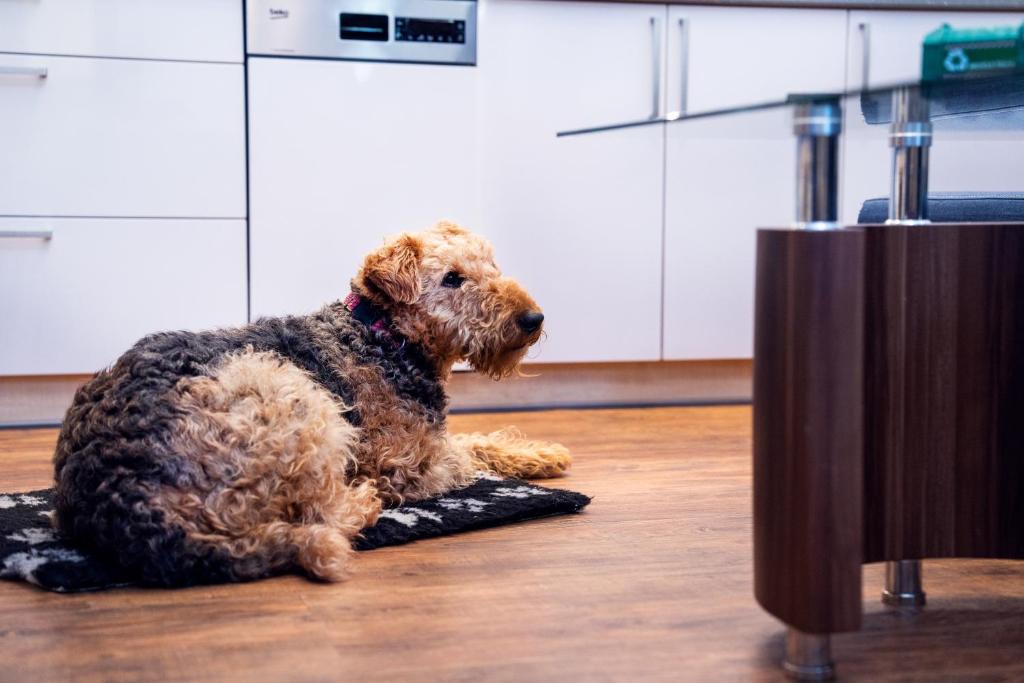 Andel Apartments Praha - Resim 35