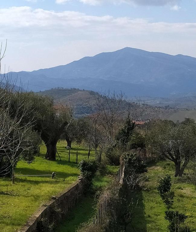 Fotografia z galérie ubytovania Azienda Agricola Cafaro Grazia - Cilens Aurea v destinácii Vallo della Lucania