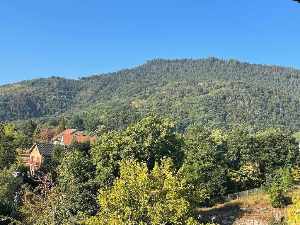 Gîte au Manoir des Sens avec bain nordique jacuzzi sur terrasse privée – photo 13