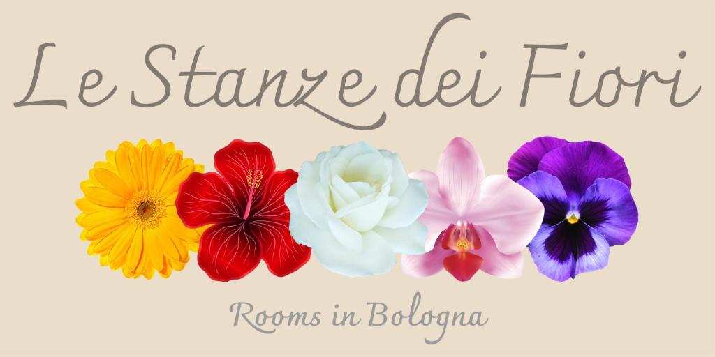 un grupo de flores de diferentes colores con las palabras le stanlear flow regresa en en Le Stanze dei Fiori, en Bolonia