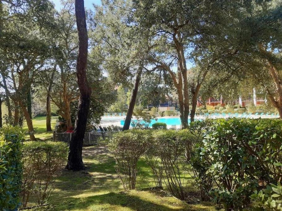 um parque com árvores e uma piscina ao fundo em Chez Mag et Jo em Moliets-et-Maa