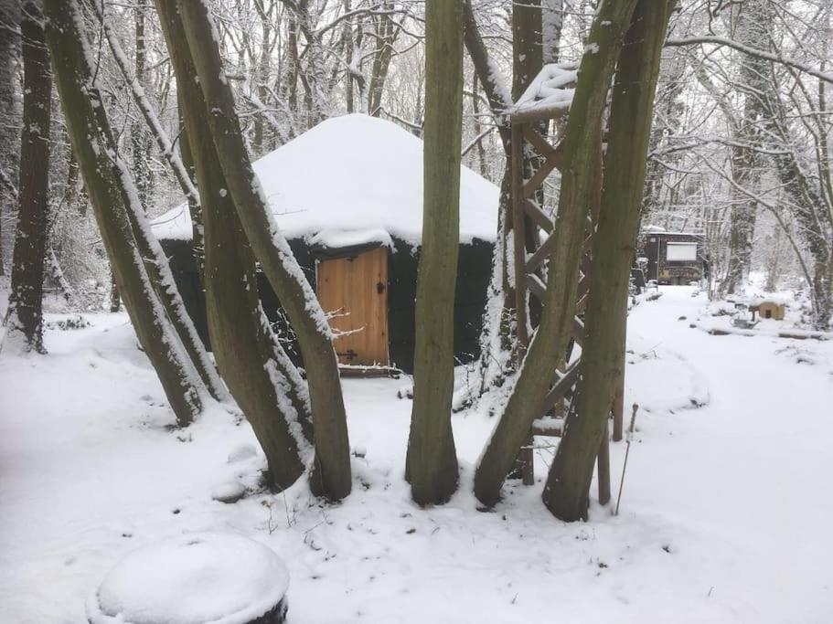 Magical Forest yurt v zimě