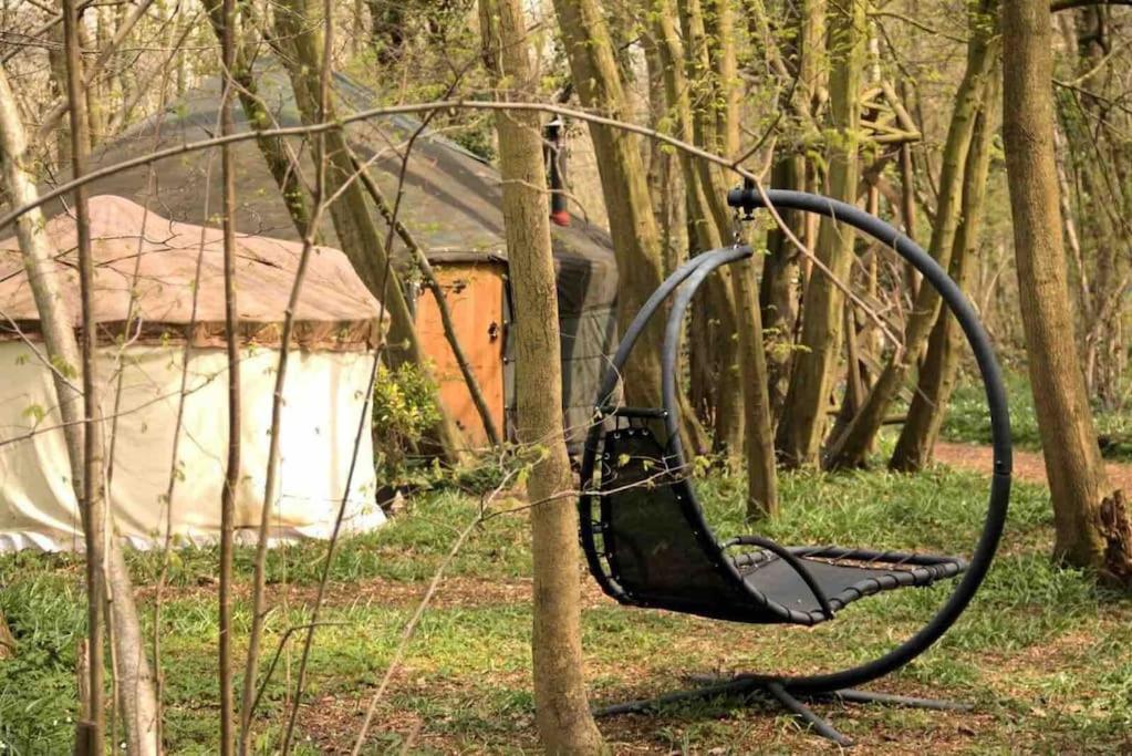 Fotografie z fotogalerie ubytování Magical Forest yurt v destinaci Sturry